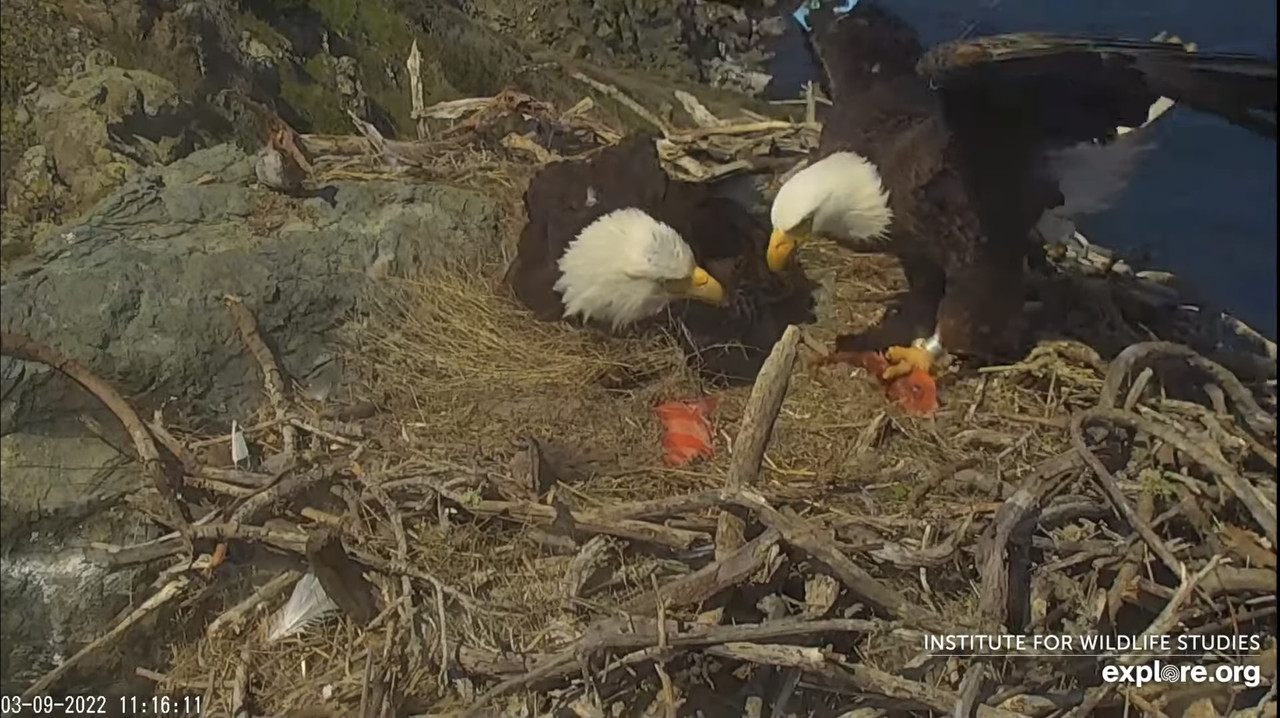 5B678C58-39F3-41C8-B299-F2A3945B98AD