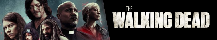 The Walking Dead S10 WEB-DL