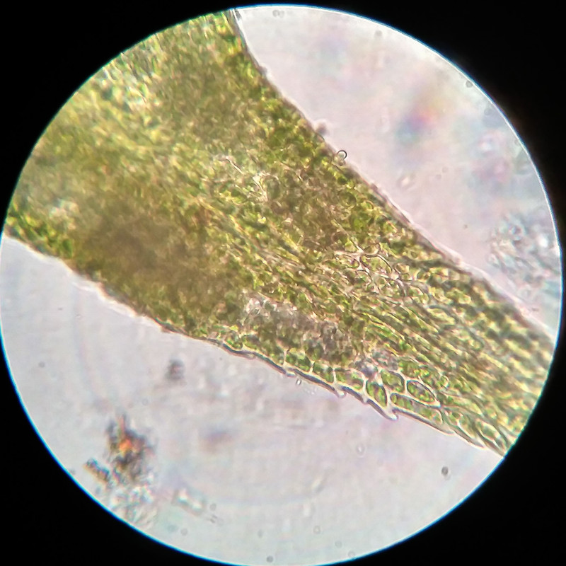 IMG 20250615 221303 HDR