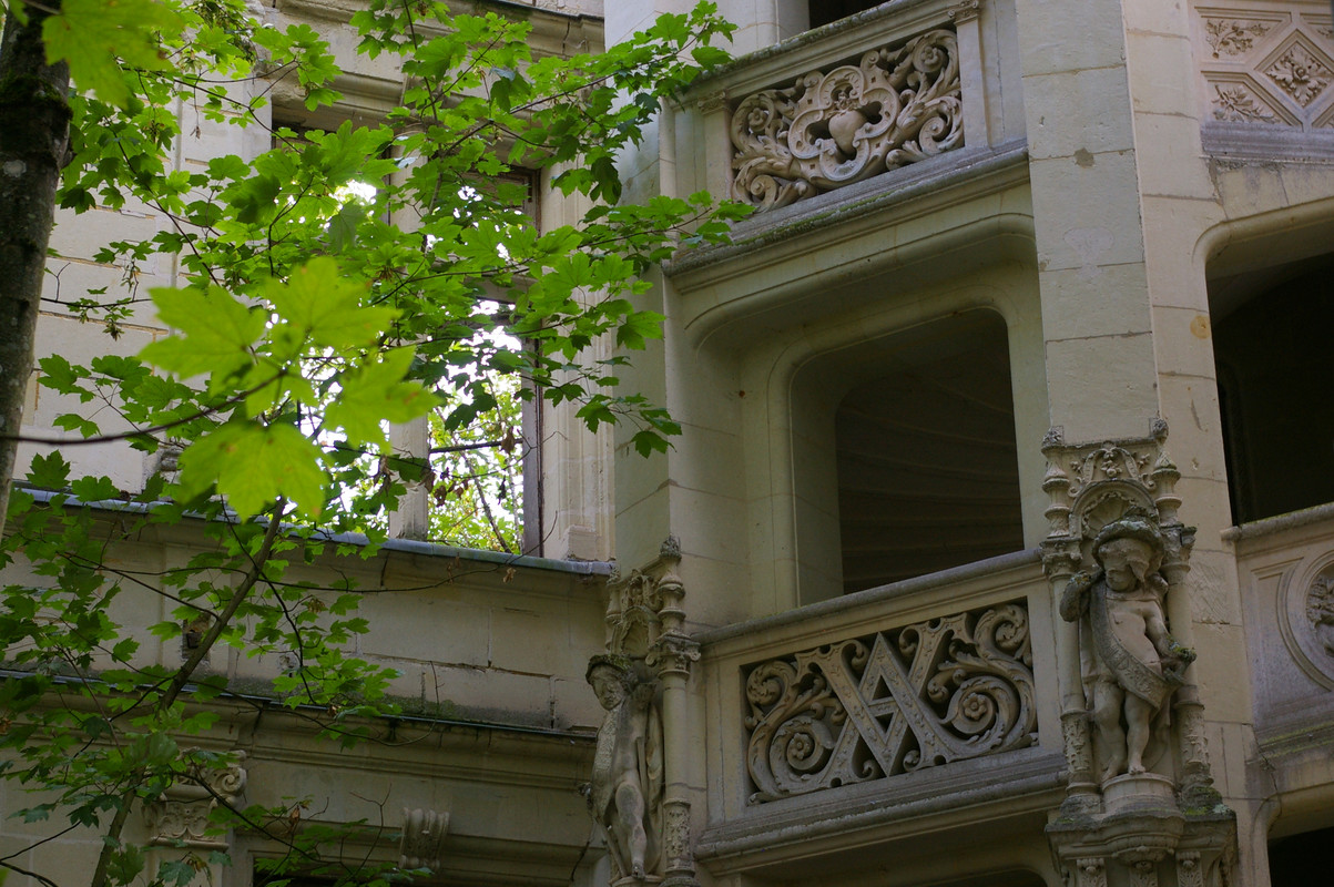 Le Château de La Mothe-Chandeniers IMGP6926