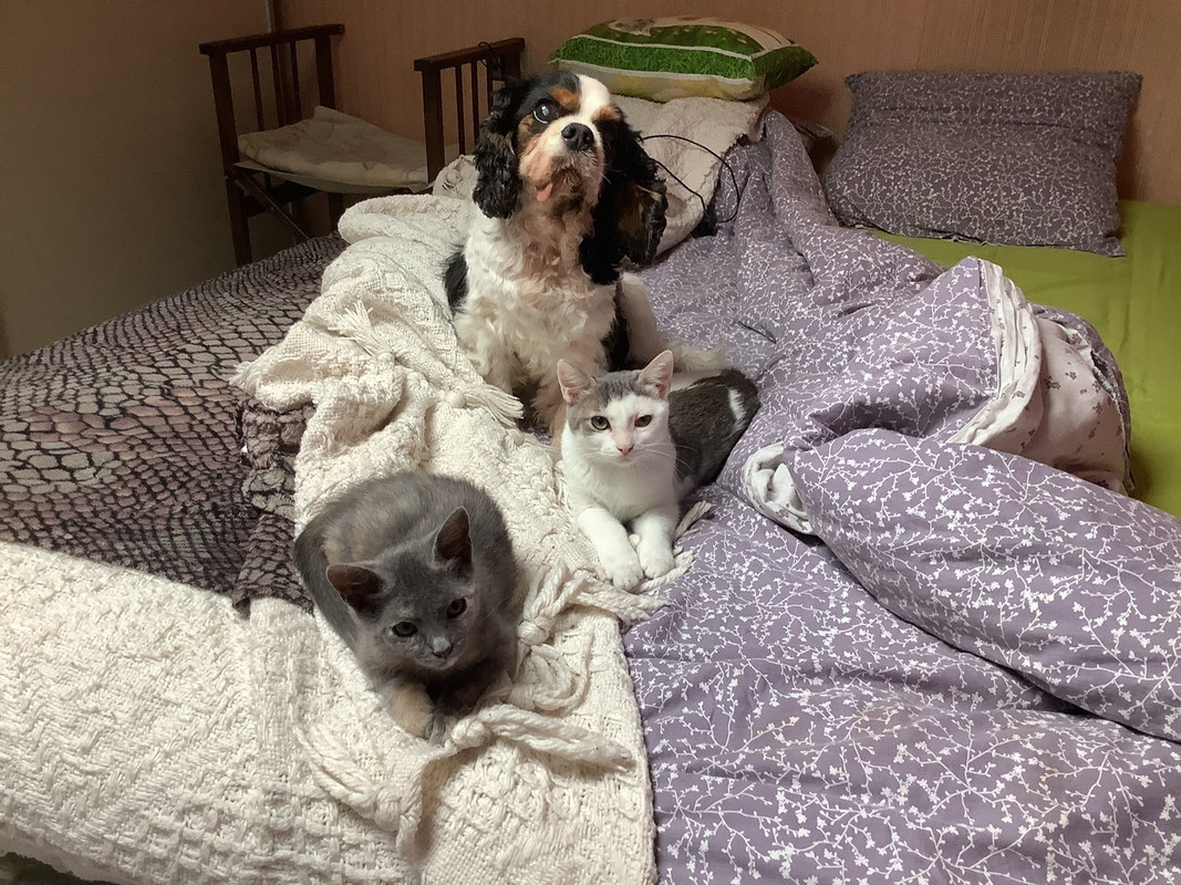 4C63B49C-BF49-4BF0-8225-0460D658B119