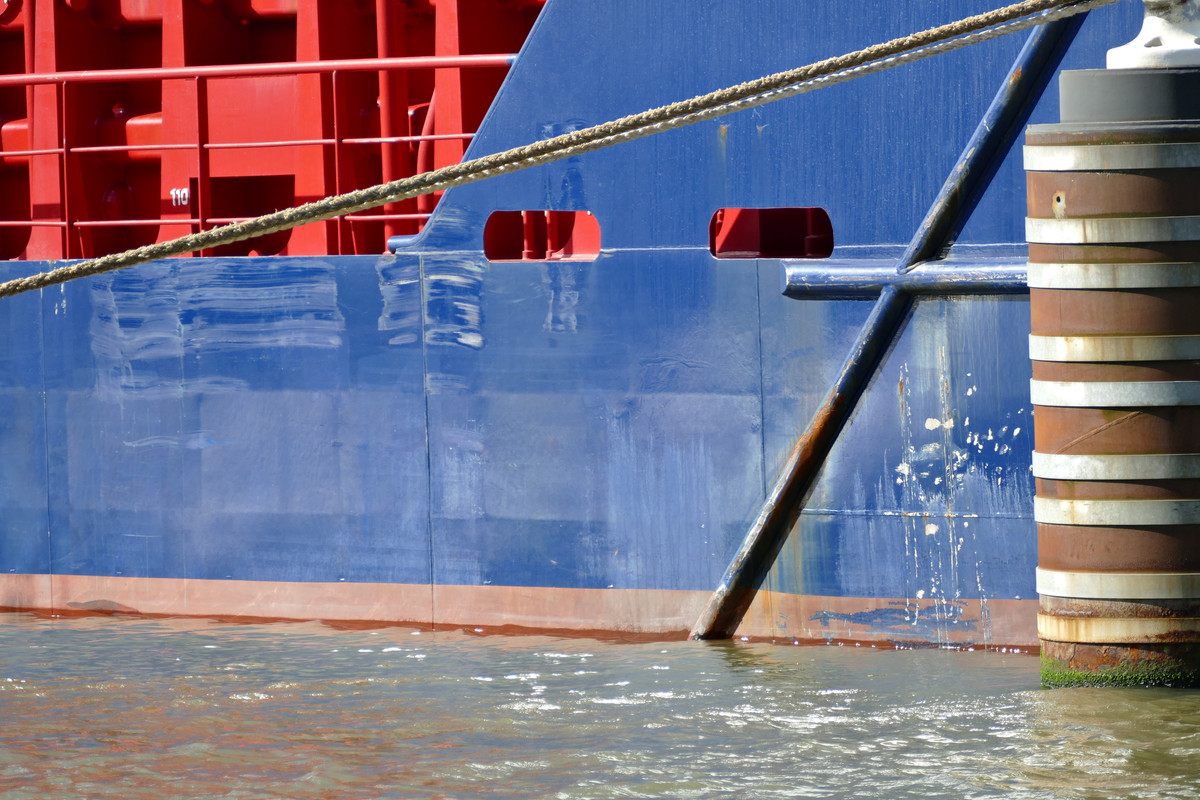 Baltic Fin - Schaden (OK-041024-1)