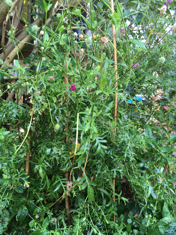 80F64749-E123-4F86-B485-35517EB7557A