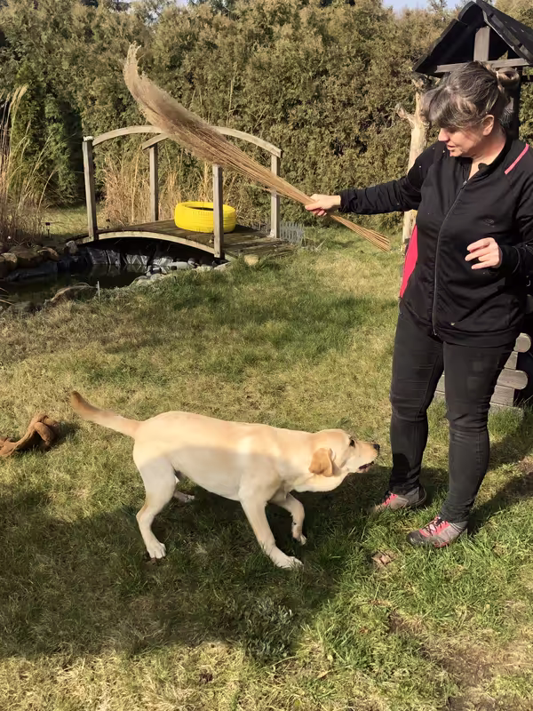 A50112B0-1745-4AE4-94CC-6AA9AF7B8BB0