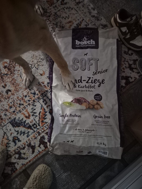 photo 2026 09 23 12 13 51