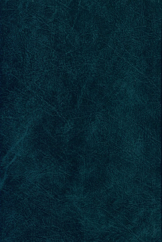 turgenev-novye-issledovaniya-i-materialy-2009-page-0052