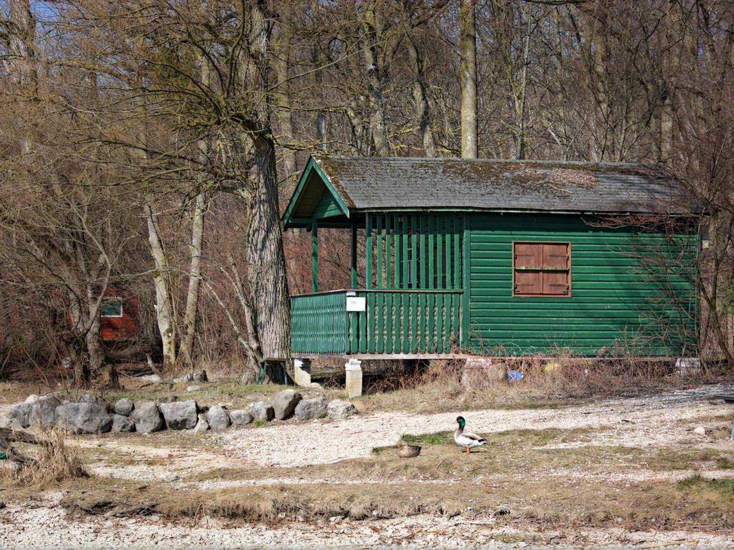 green-beach-hut-vacation-log.jpg