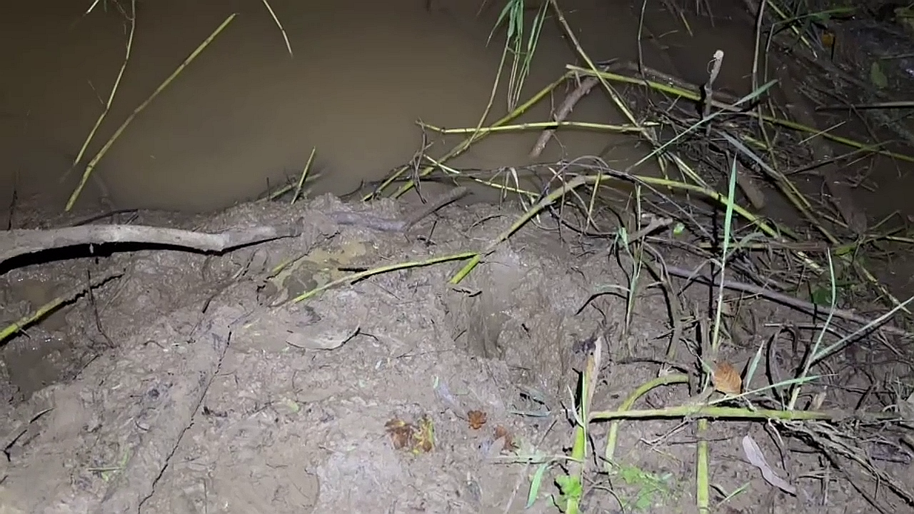 vlcsnap-2025-09-04-21h02m04s643