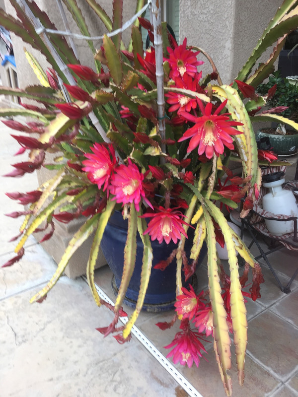 6C89C3E2-66EC-47B4-8A03-3F9748AD4C7B