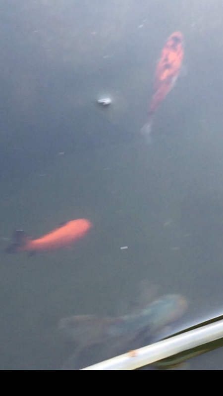 2830F6C1-500D-418A-95E9-C2B206300738