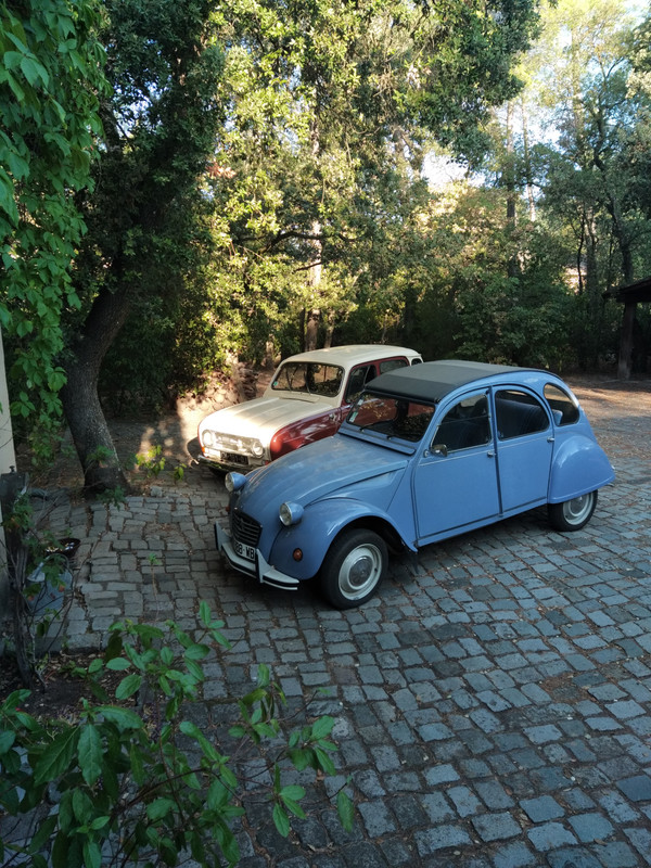 IMG_20230908_084545 (2)