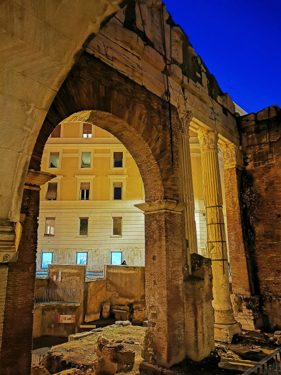 https://i.postimg.cc/zB8KzbF5/IMG_20221114_173538.jpg