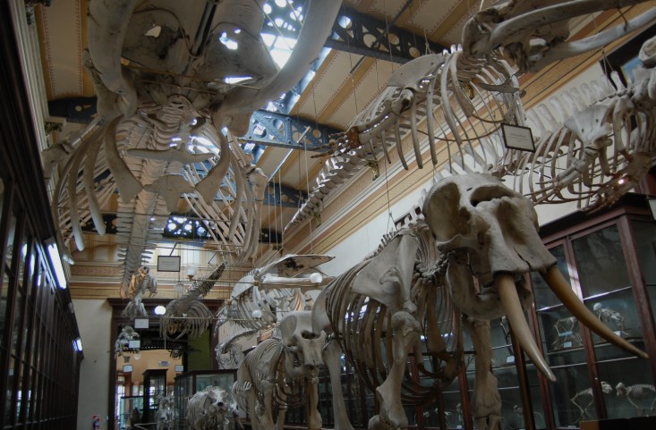 Museu de Ciências Naturais