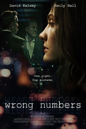 Wrong Numbers 2024 1080p WEBRip-SMILEY