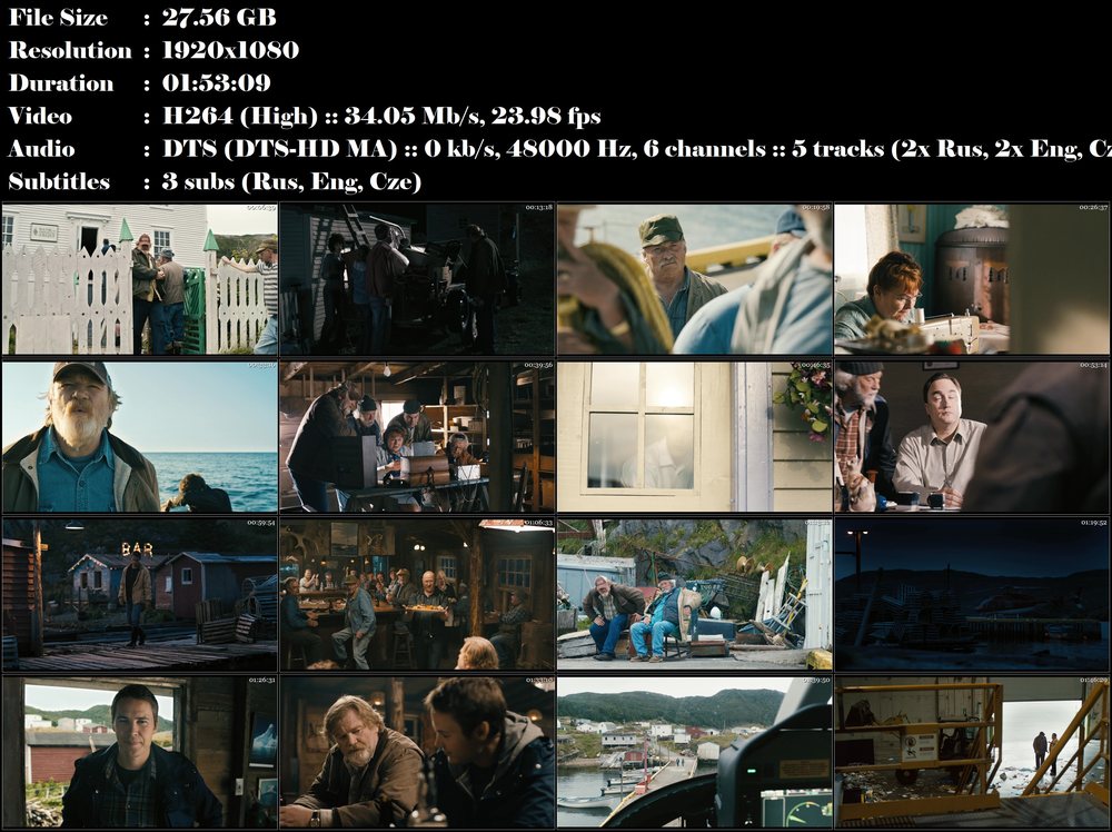 Re: Jak ulovit Dr. Lewise / The Grand Seduction (2013)