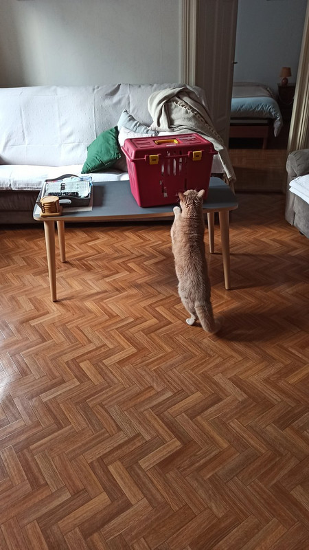https://i.postimg.cc/zB8fqzPF/IMG-20210311-171335.jpg%20