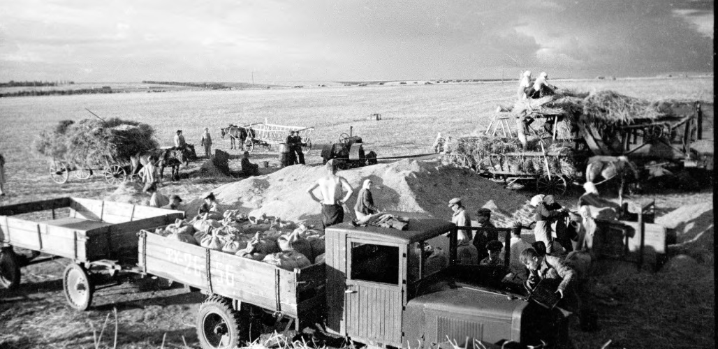 скачанные файлы