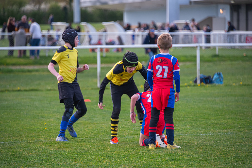 tournoi-de-latlantique-2026-adonis-griffon-61-55181289631-l