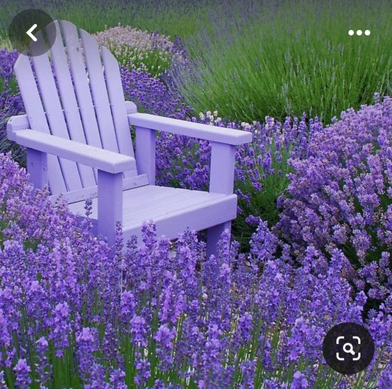 Screenshot_20240425_214017_Pinterest