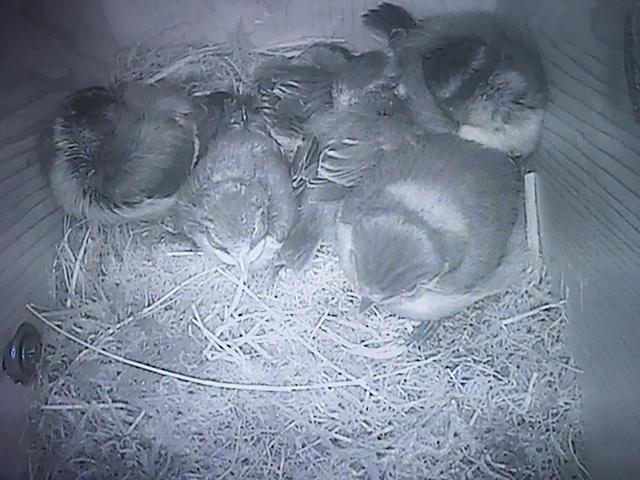 34A7BDCF-5F11-4A7F-9A7E-42701013F7D0