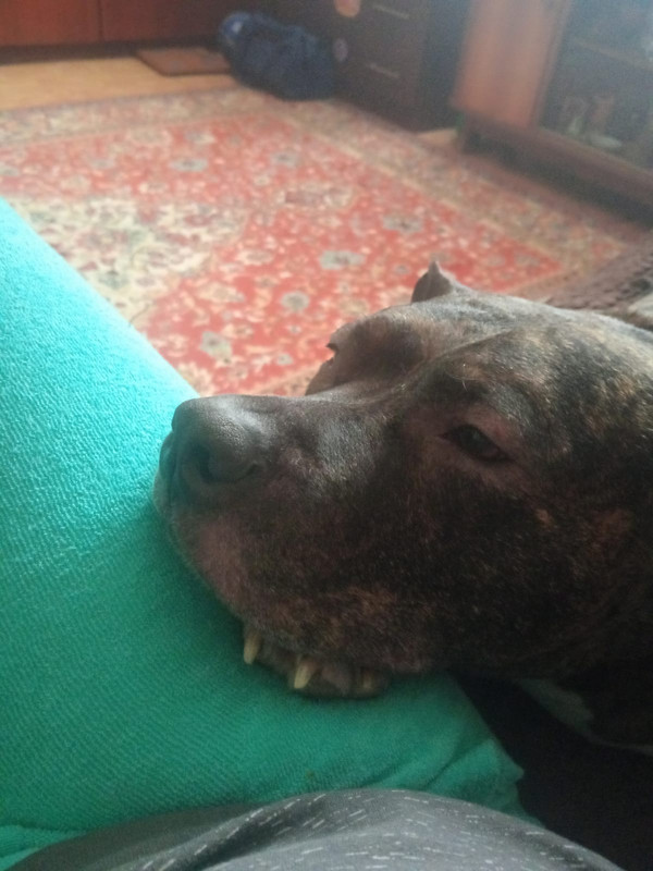 C0456FB6-216D-439A-807D-E1EE96C18E95