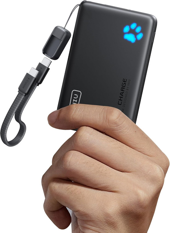 INIU Portable Charger