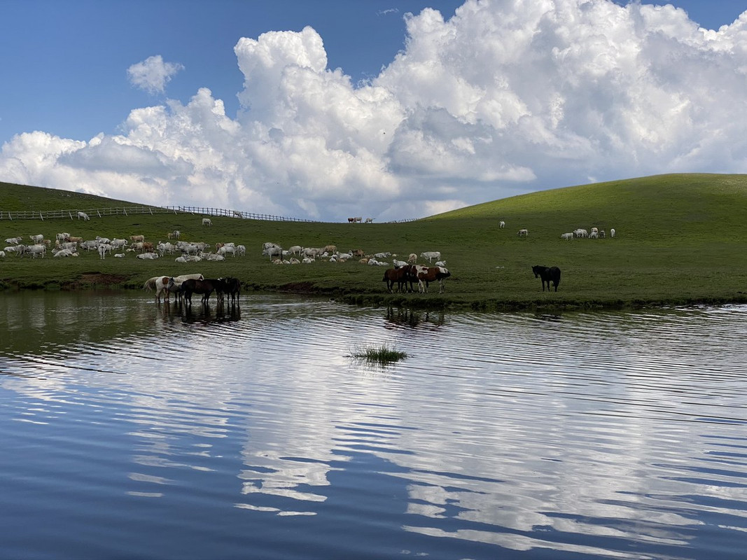 FD5422D7-D4E4-42E0-85B6-4514C4BC0116