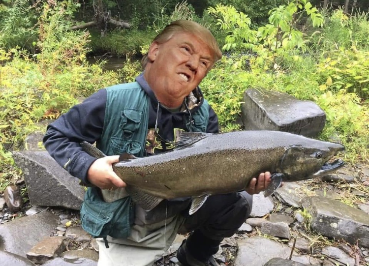 D600EAEA-0B62-43EC-AA38-CAC1134B8C2E