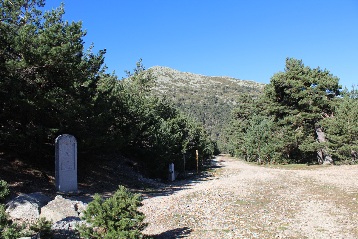 camino-de-santiago-22851093779-o