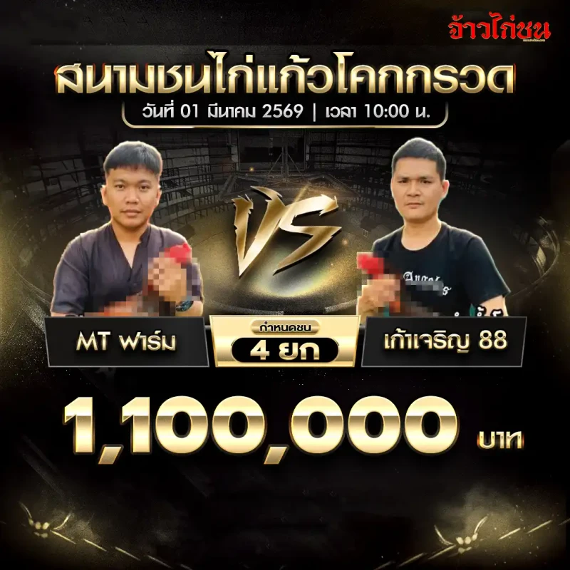 โปรแกรมไก่ชน แก้วโคกกรวด 1 มีนาคม 2569 : MT ฟาร์ม vs เก้าเจริญ 88 ชิง 1,100,000 บาท