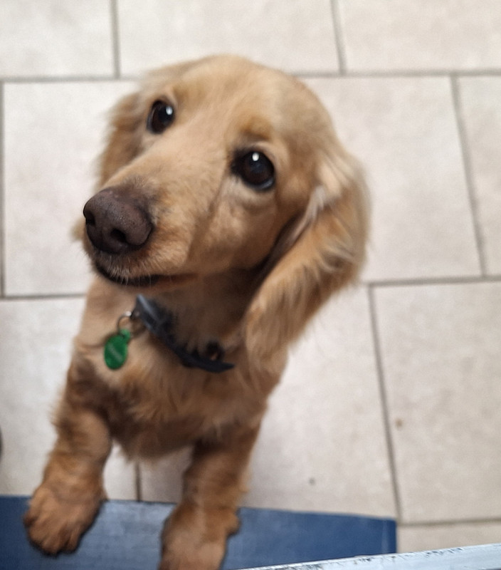 [Image: 20240312-104801.jpg]