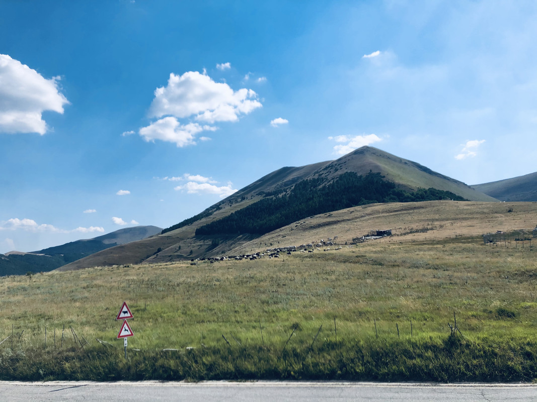 3E643E32-B14C-4AE0-9365-08D65E6A5E8B