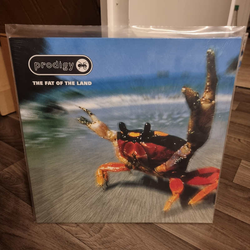 vinyle 2018 prodigy the fat of the land