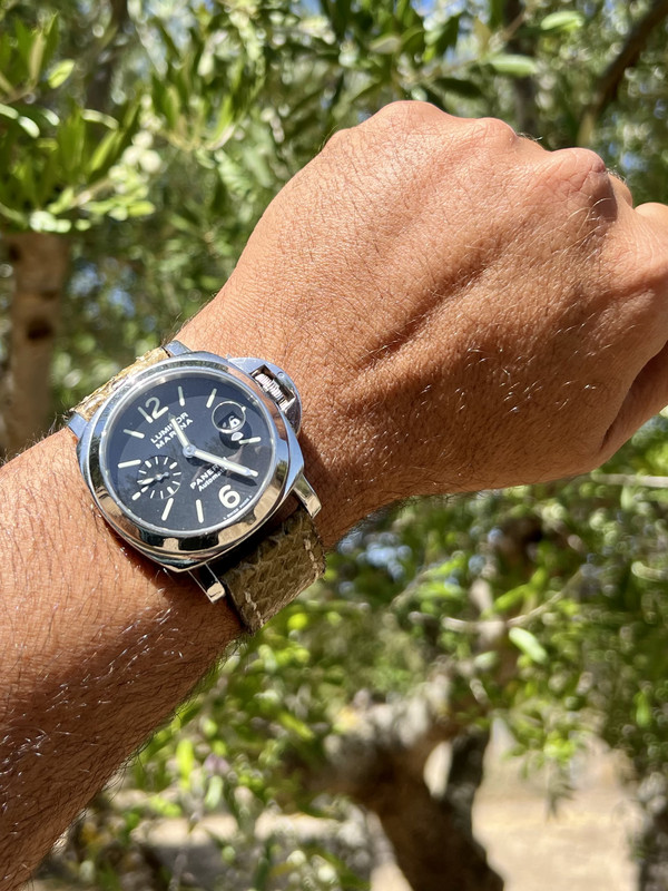 A24F9B9F-2F21-4261-9F4D-D5F0D7D3A114