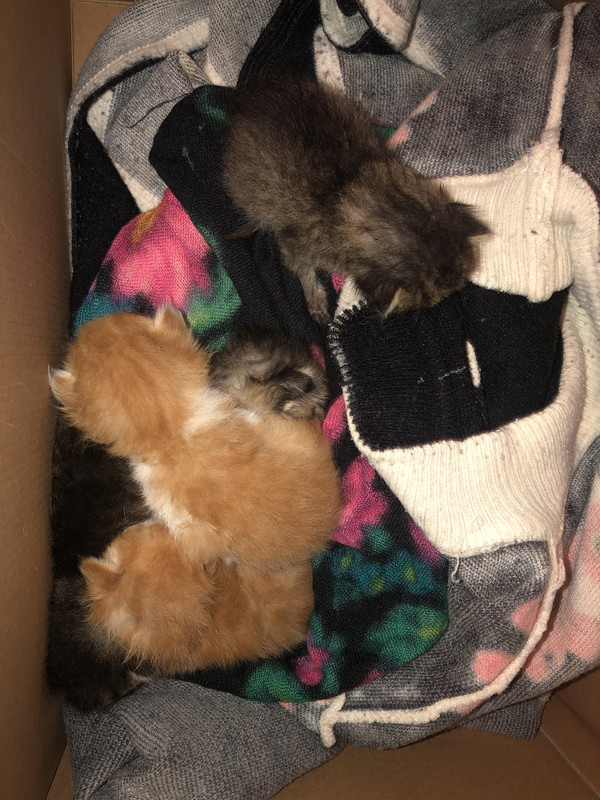 F1A0EE30-C49D-445B-B7E0-3C2933112455