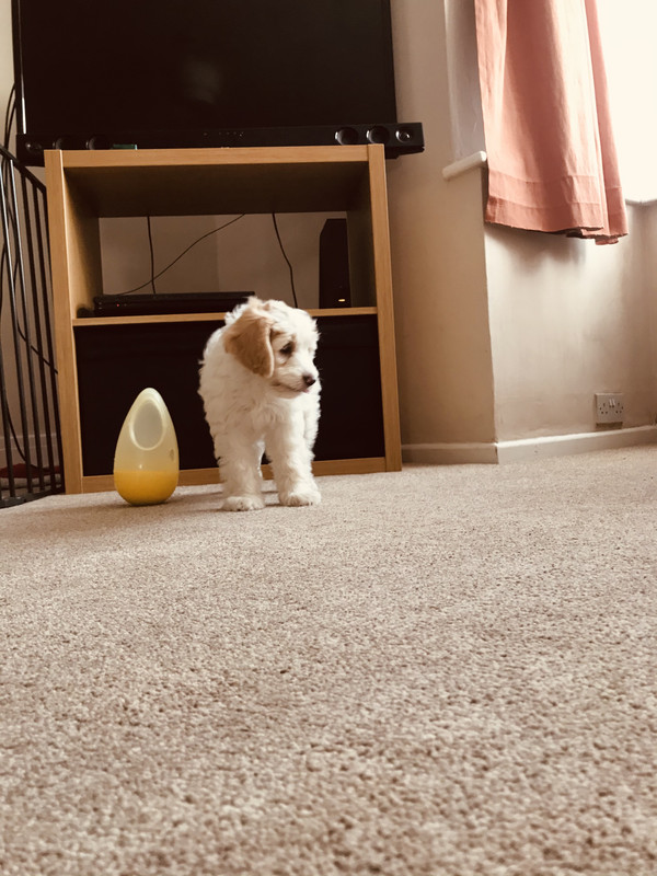 C11065CD-C1D8-4311-89CE-CDFF1C151AF4