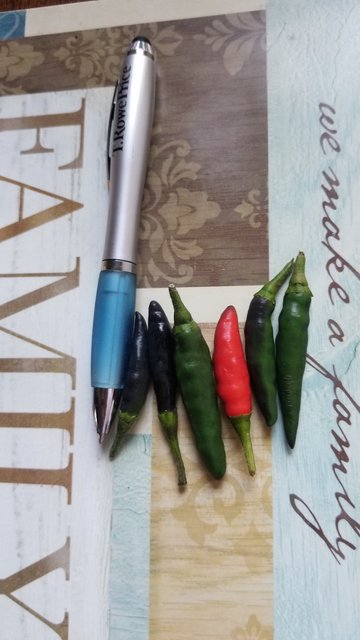 [Image: Ot-thai-02.jpg]