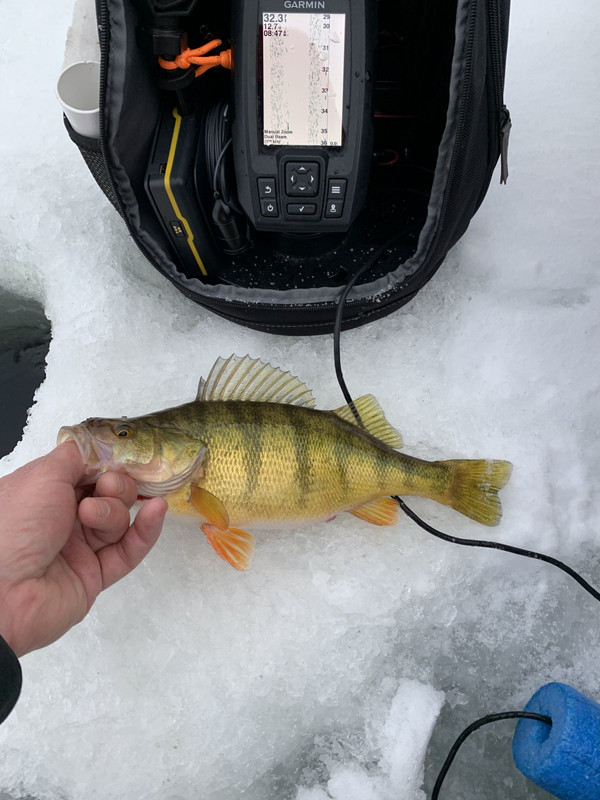 F4028886-7E99-4C30-9F0D-A7BCBB872C3F