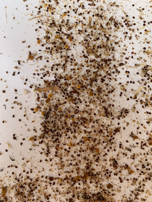 0090750B-DCBA-4C01-AA8B-FAB47D11FAE8