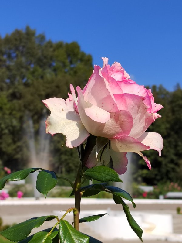 https://i.postimg.cc/zBBLHFZY/056-MG-20240918-121603.jpg