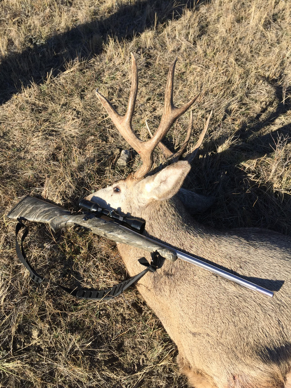 1571E41D-EB4D-4E0C-B9A3-FD9E3014997A