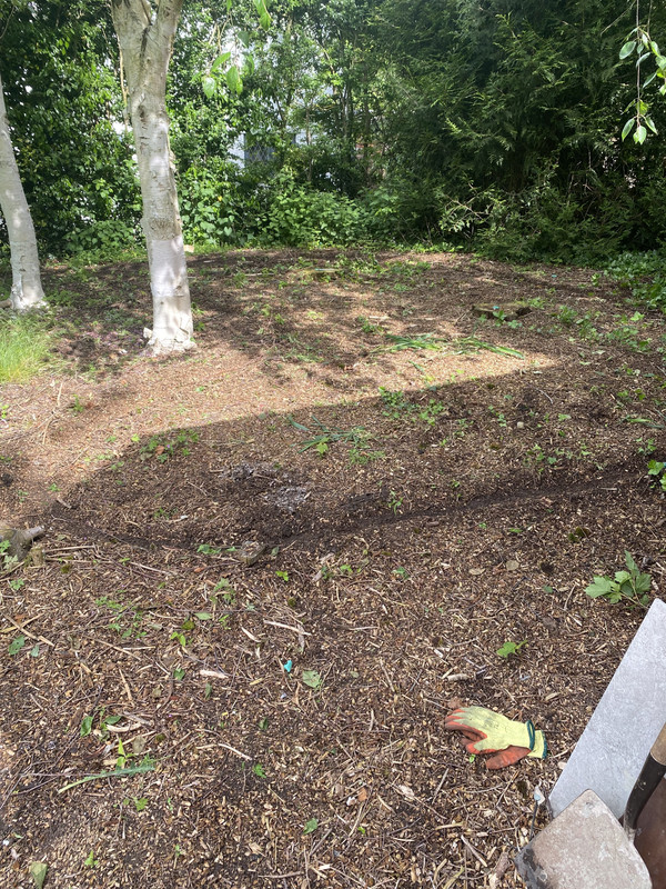 DF794C8B-E5FE-43FA-A1AF-A5EF4135F30E