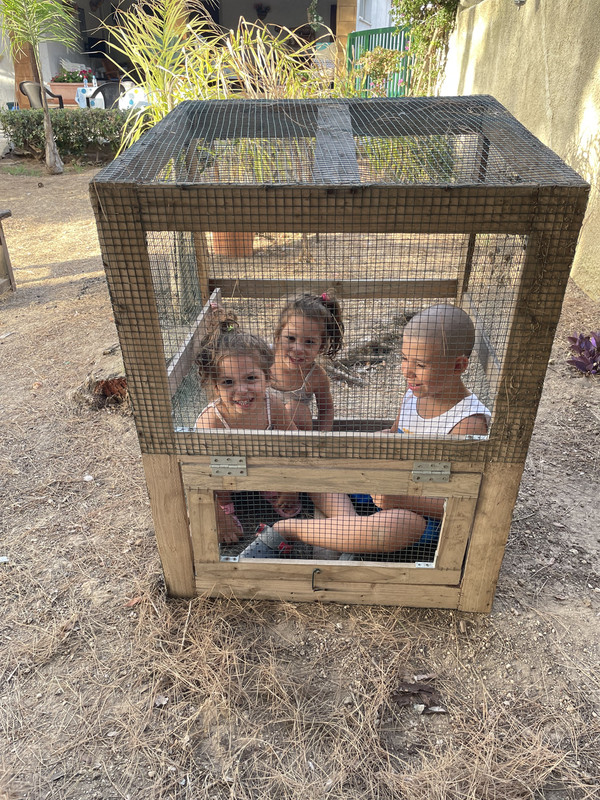 AE16B156-7B0E-4237-AA54-A83493049C1B