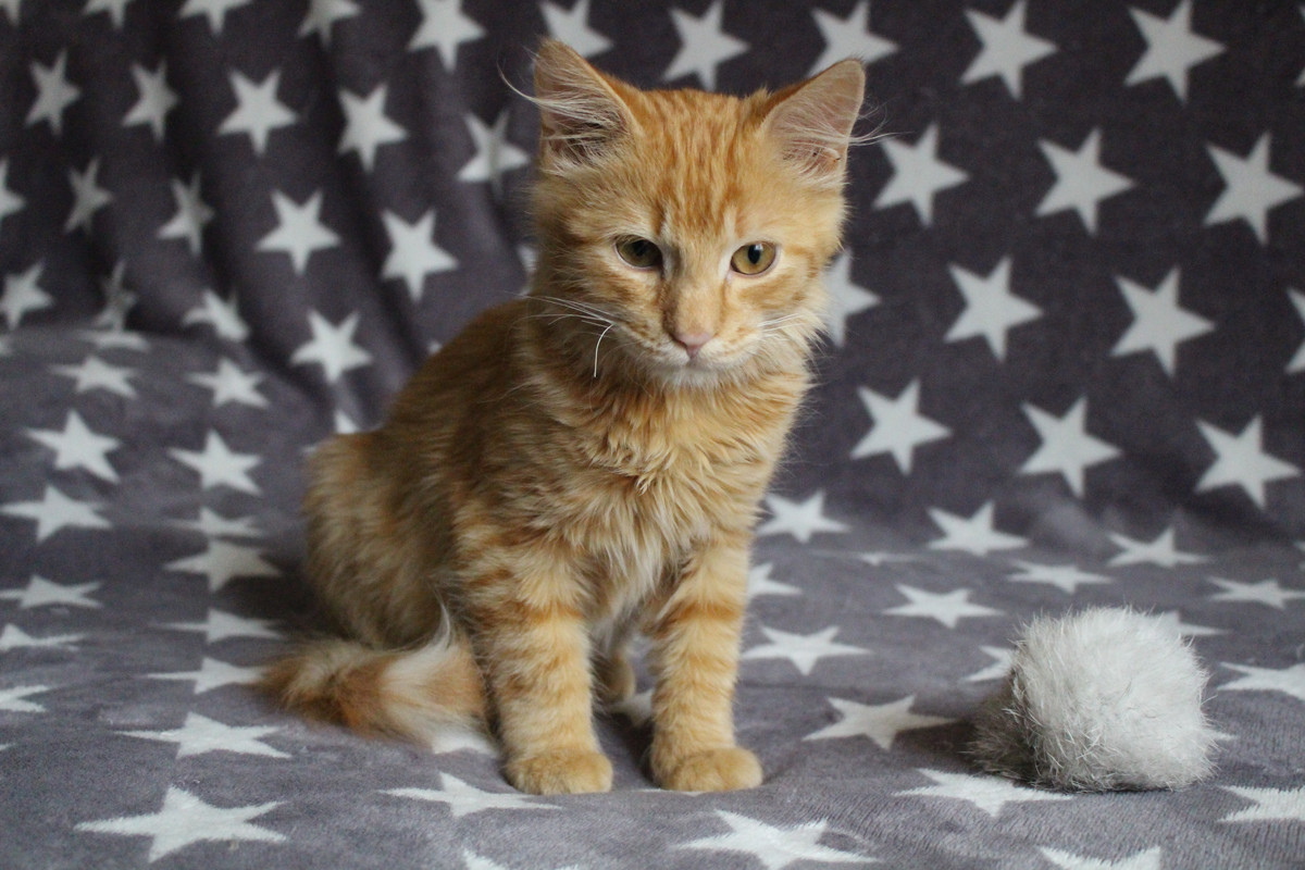 105F9A62-5909-4DBF-9A93-D9C8A0383D42