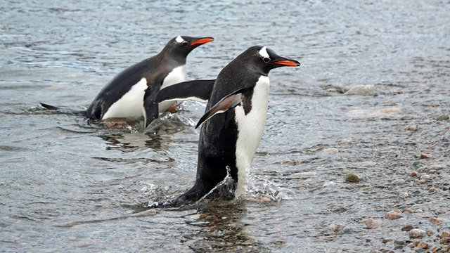 [Linked Image from i.postimg.cc]