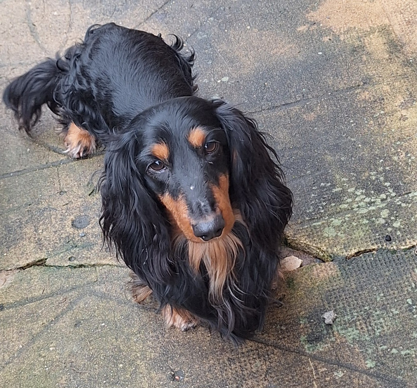 [Image: 20250110-150426.jpg]