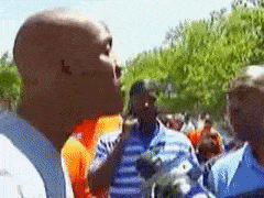 Fabulous-Pesky-Bream-max-1mb.gif