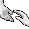 Hands