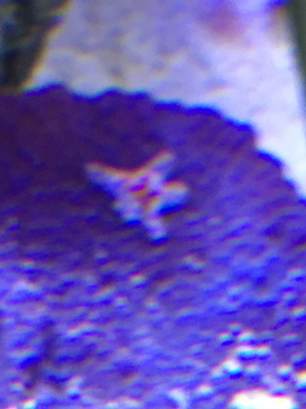 7934FE4A-59C9-45B7-9C81-062739A21544