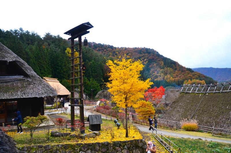 Saiko Iyashi no Sato Nenba-16-11-2024 - Japón y sus Pueblos-2024 (22)